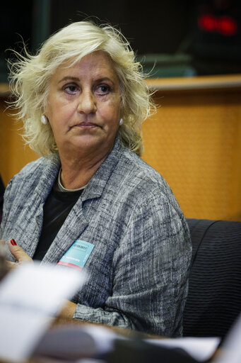 Photo 2 : Greens/EFA conference - Criminal defamation laws in the EU