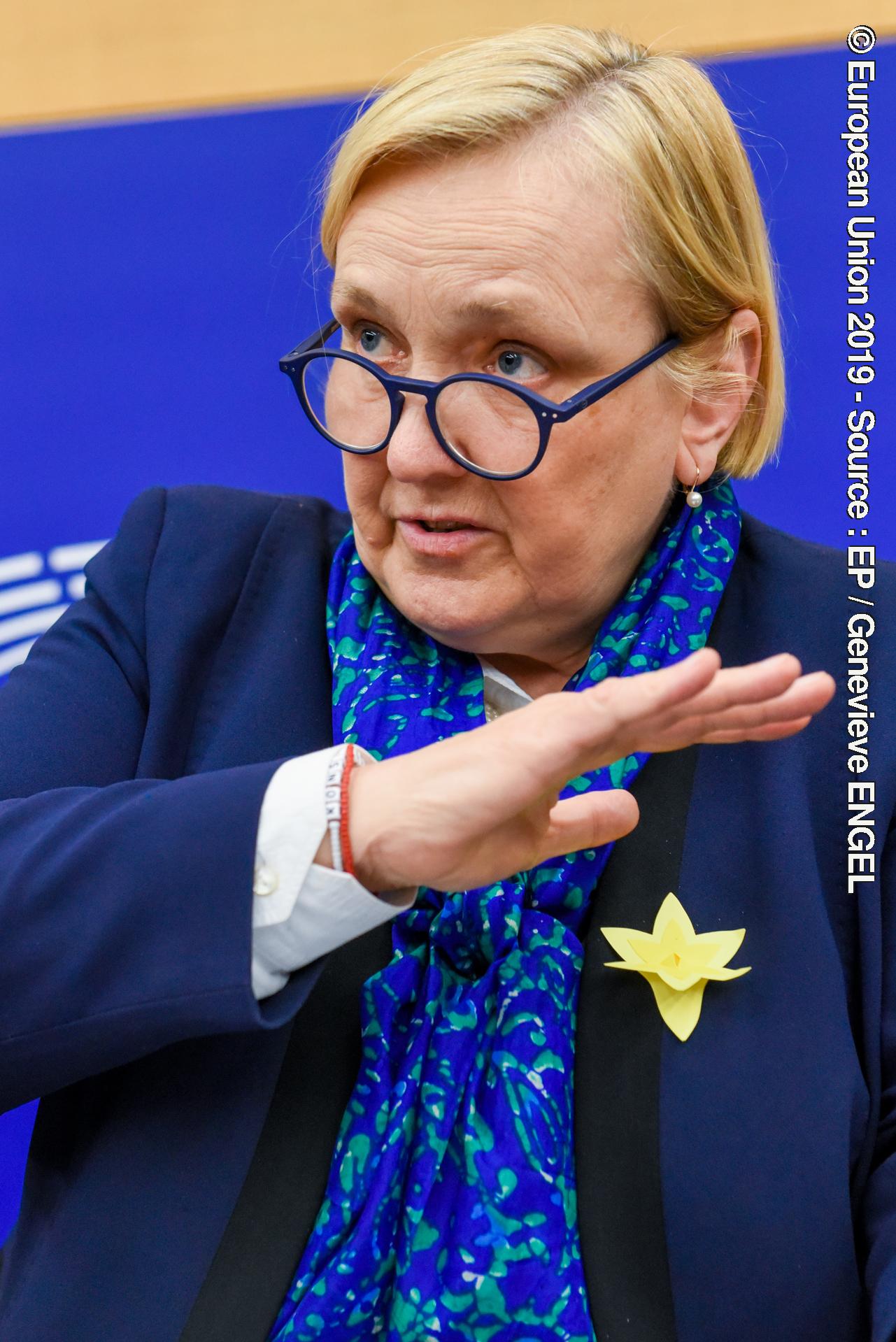 Φωτογραφία 9: EP Press conferenceType-approval requirements for motor vehicles