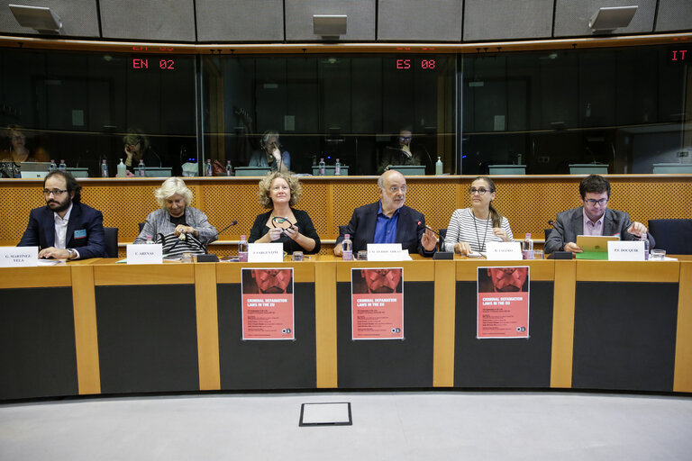Photo 22 : Greens/EFA conference - Criminal defamation laws in the EU