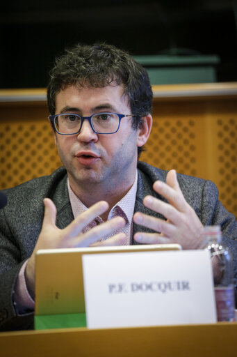 Photo 15 : Greens/EFA conference - Criminal defamation laws in the EU