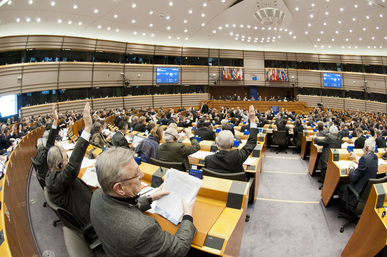 Fotogrāfija 5: Plenary Session in Brussels - Week 5 - 2012