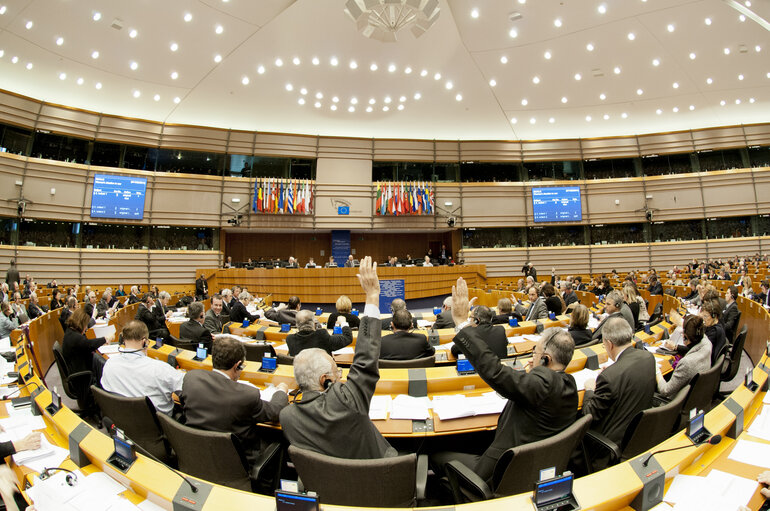 Plenary Session in Brussels - Week 5 - 2012