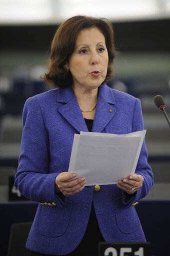 Φωτογραφία 10: Plenary Session in Strasbourg - Week 3 - 2012