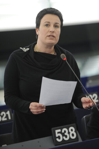 Plenary Session in Strasbourg - Week 7 - 2012