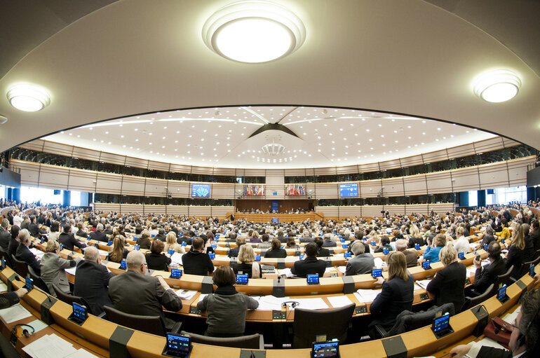 Fotografi 10: Plenary Session in Brussels - Week 5 - 2012