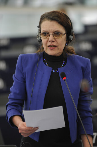 Photo 5: Plenary Session in Strasbourg - Week 3 - 2012