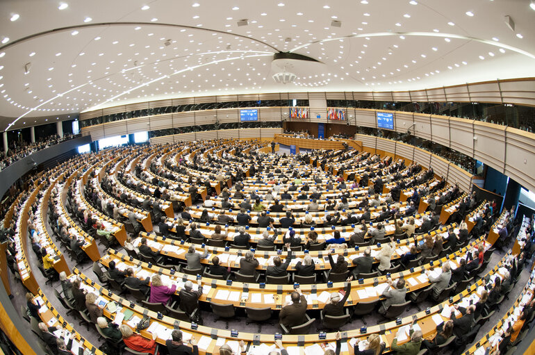 Fotogrāfija 6: Plenary Session in Brussels - Week 5 - 2012