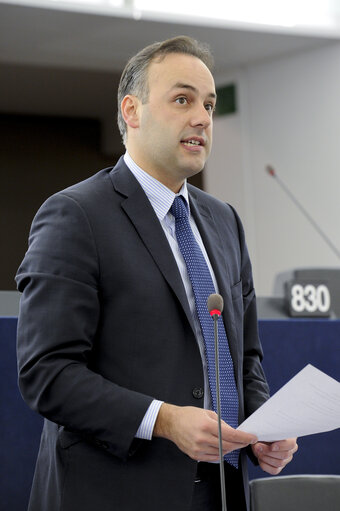 Plenary Session in Strasbourg - Week 7 - 2012