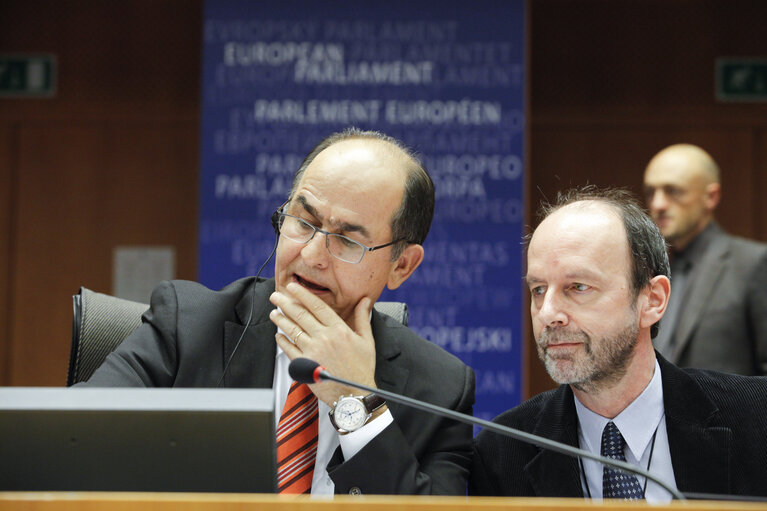 Plenary Session in Brussels - Week 5 - 2012