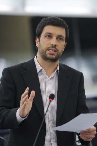 Plenary Session in Strasbourg - Week 3 - 2012