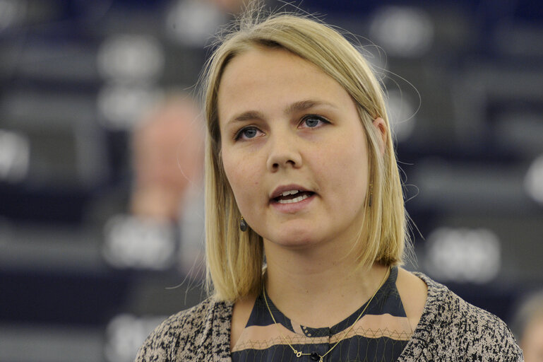 Valokuva 32: Plenary Session in Strasbourg - Week 7 - 2012