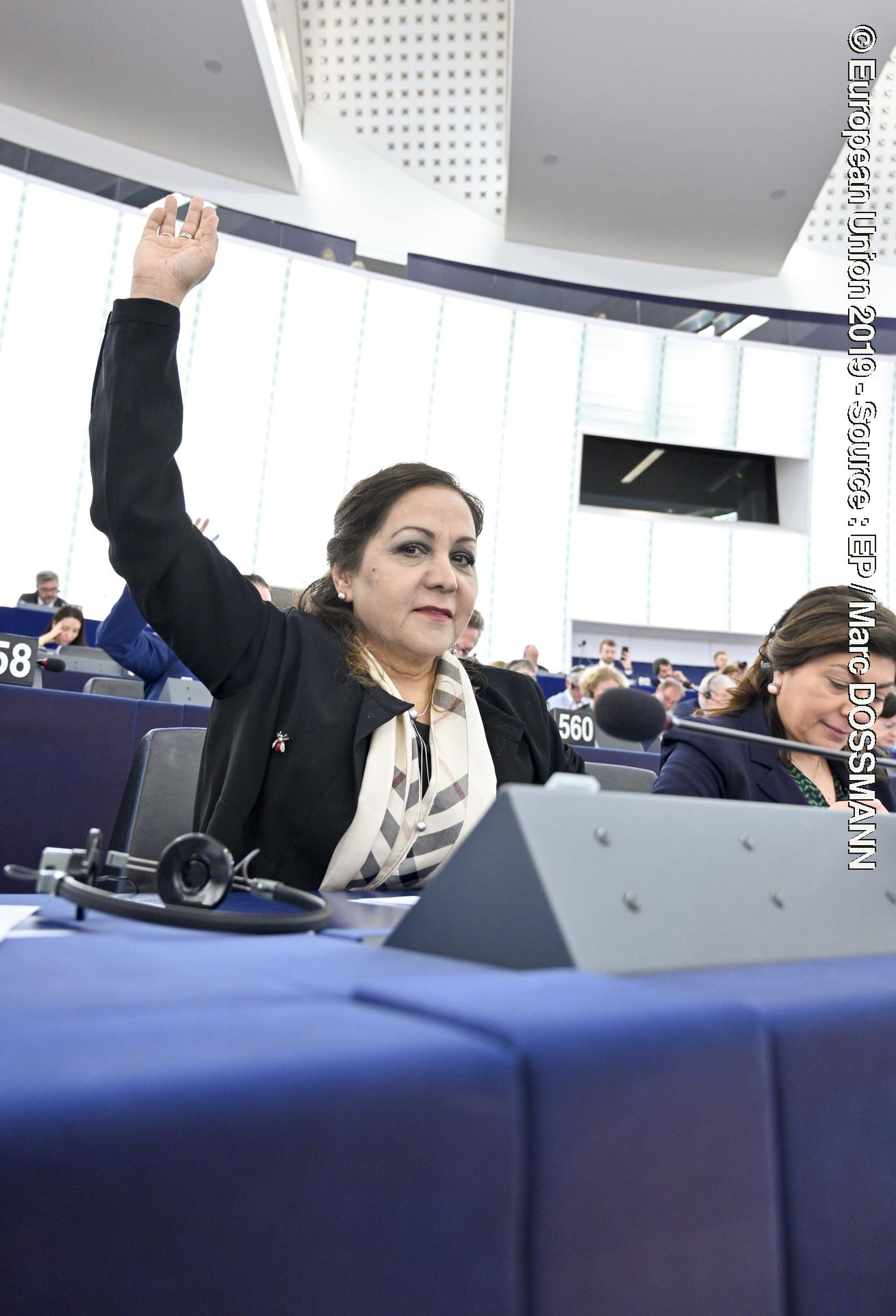 Fotagrafa 6: Neena GILL in the EP in Strasbourg