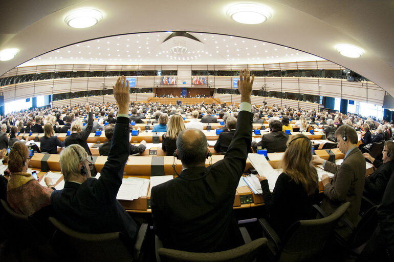 Plenary Session in Brussels - Week 5 - 2012