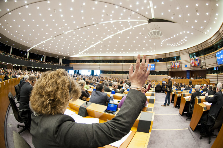 Plenary Session in Brussels - Week 5 - 2012