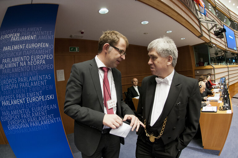 Plenary Session in Brussels - Week 5 - 2012