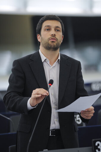 Plenary Session in Strasbourg - Week 3 - 2012