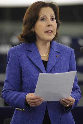 Plenary Session in Strasbourg - Week 3 - 2012