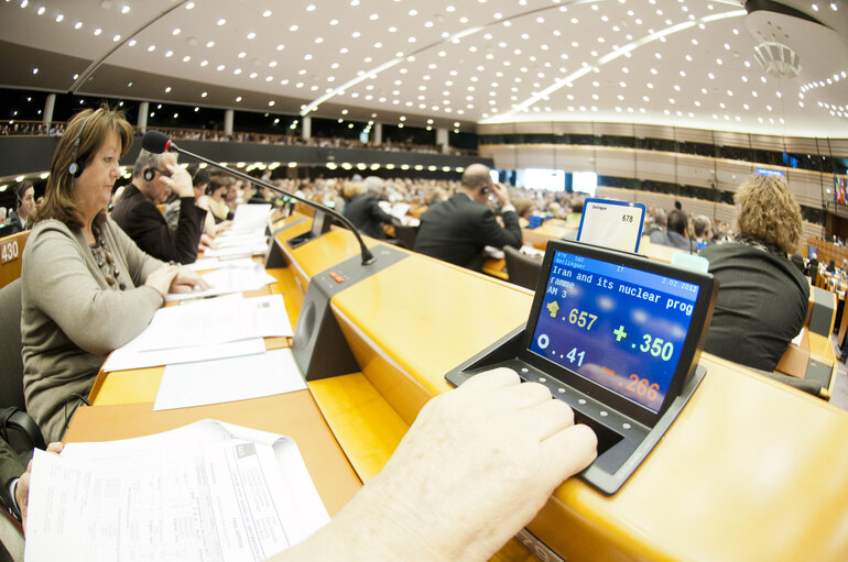 Plenary Session in Brussels - Week 5 - 2012