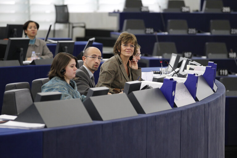 Plenary Session in Strasbourg - Week 3 - 2012