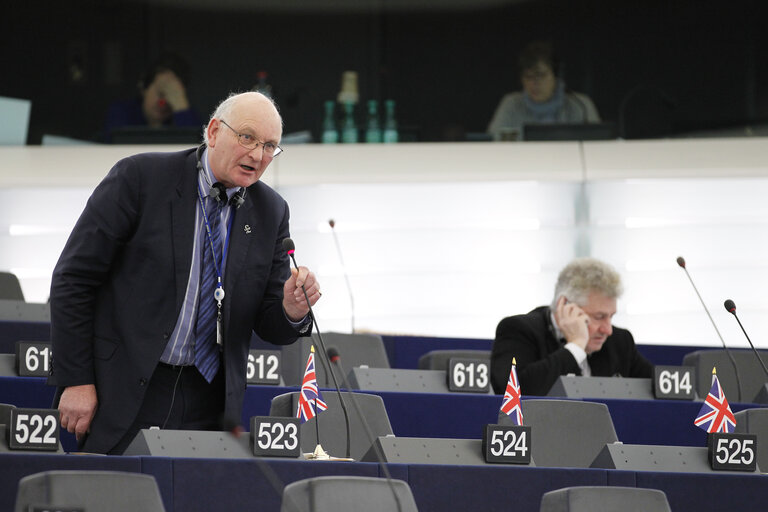 Plenary Session in Strasbourg - Week 3 - 2012