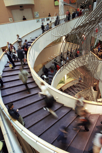 Foto 24: OPEN DAYS at the EP in Brussels