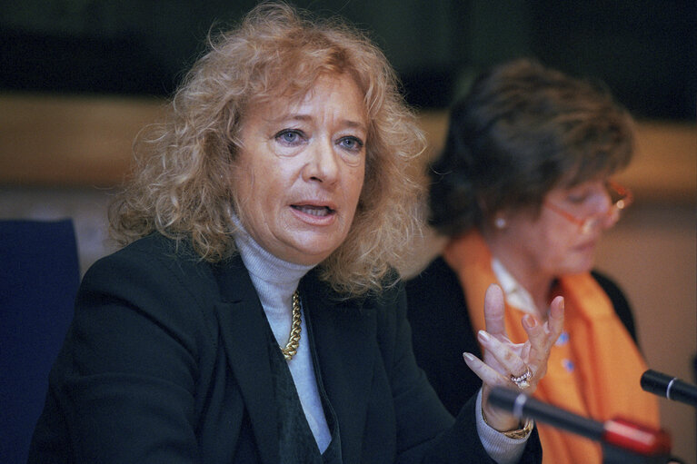 Fotografija 2: MEP during a meeting