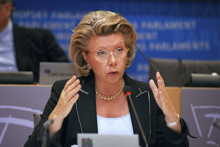 Fotografija 14: Hearing of the Commissioner Designate for media and information society.