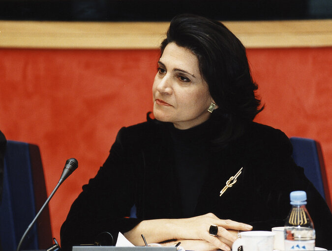 Rodi KRATSA TSAGAROPOULOU in a meeting at the EP in Strasbourg.