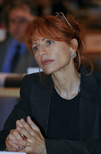 Foto 4: Lilli GRUBER at the EP in Brussels.