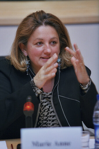 Suriet 2: MEP during a meeting