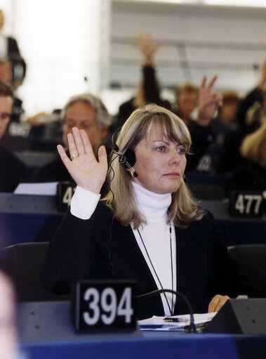 Fotografija 2: MEP during a meeting