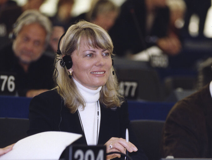 Fotografia 3: MEP during a meeting