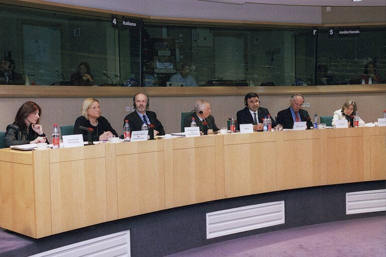 Fotogrāfija 2: Hearing of the candidates for the position of European Ombudsman.