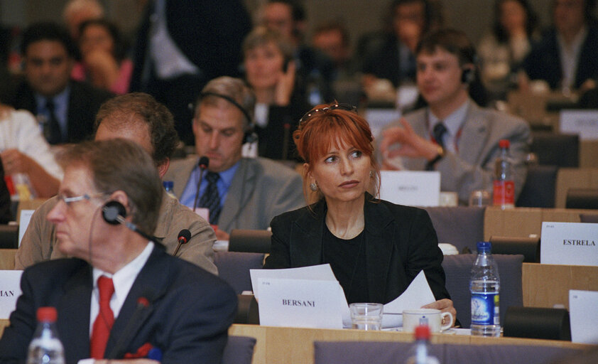 Foto 5: Lilli GRUBER at the EP in Brussels.