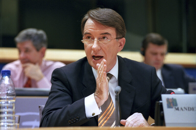 Fotografija 25: Hearing of European Commissioner in charge of Trade