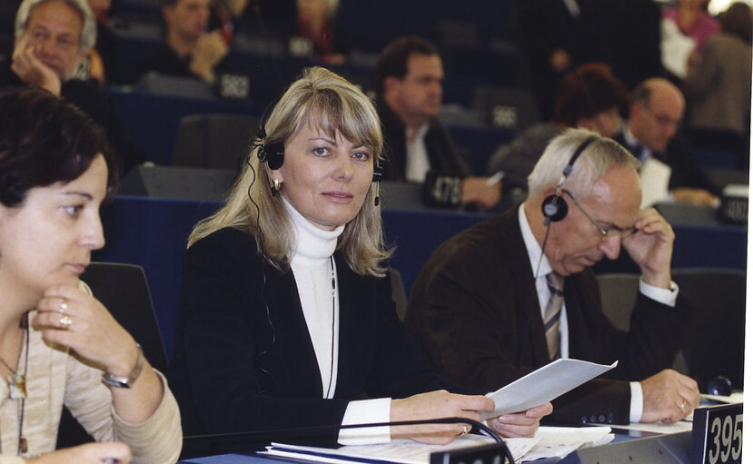 Fotografija 4: MEP during a meeting