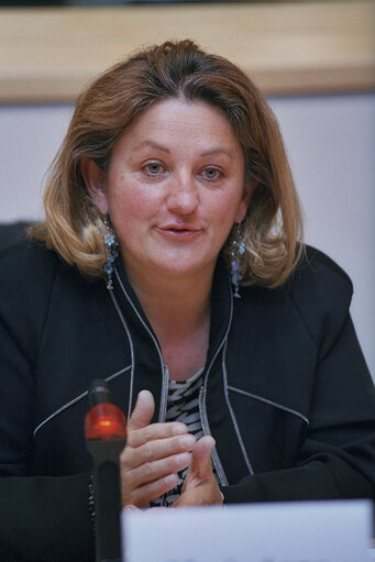 Valokuva 3: MEP during a meeting