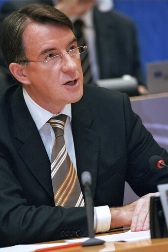 Foto 23: Hearing of European Commissioner in charge of Trade