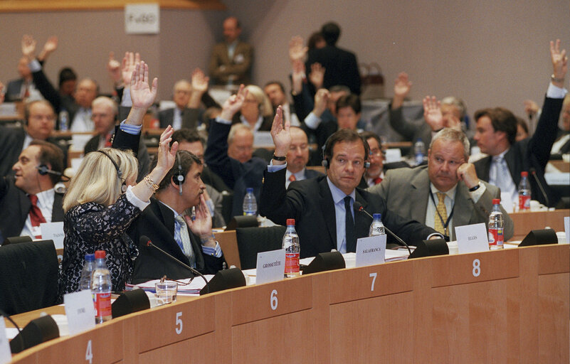 Foto 5: Elections of the EPP President.