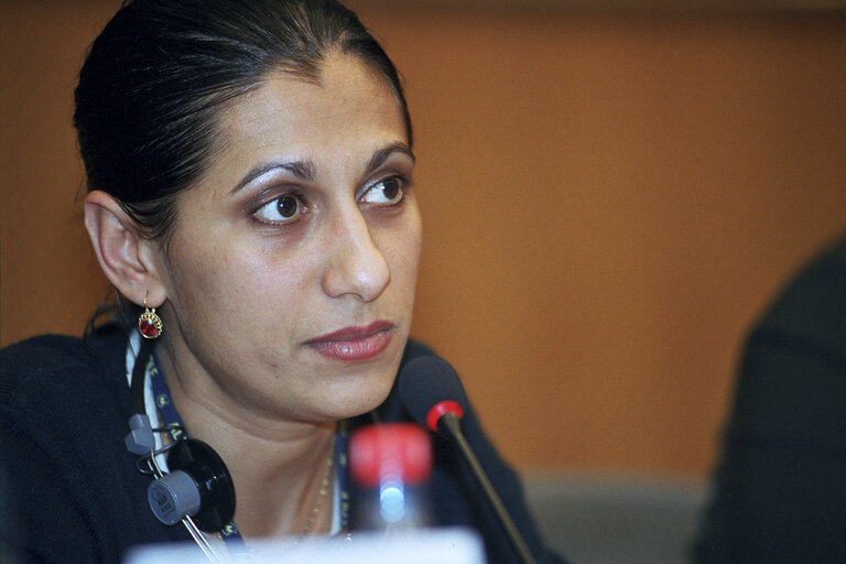 Photo 22: MEP in a meeting at the EP in Brussels