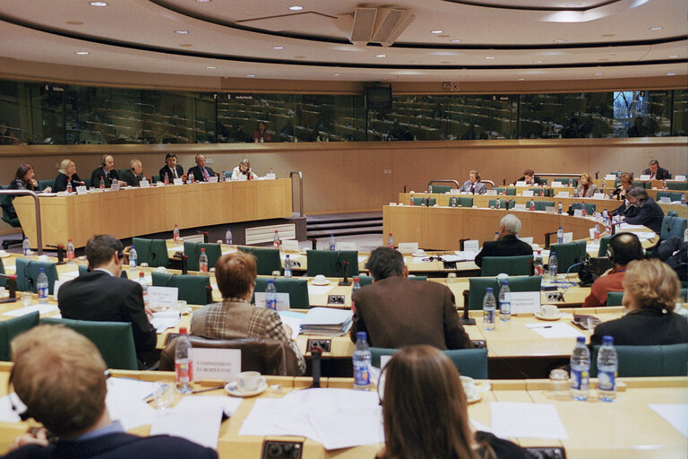 Fotogrāfija 4: Hearing of the candidates for the position of European Ombudsman.