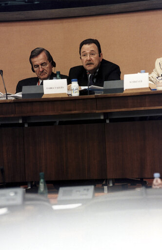 Photo 3 : Hearing of CEO of EU Court of Auditors