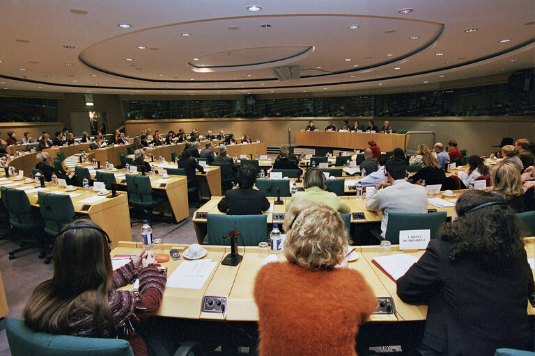 Fotografia 3: CULT Committee meeting: Presentation of the program of the Irish Presidency by the Minister of Education and Science of Ireland.