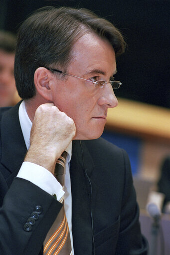 Fotografija 12: Hearing of European Commissioner in charge of Trade