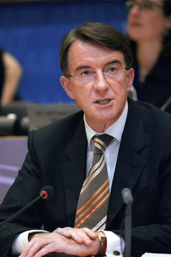 Fotografija 11: Hearing of European Commissioner in charge of Trade