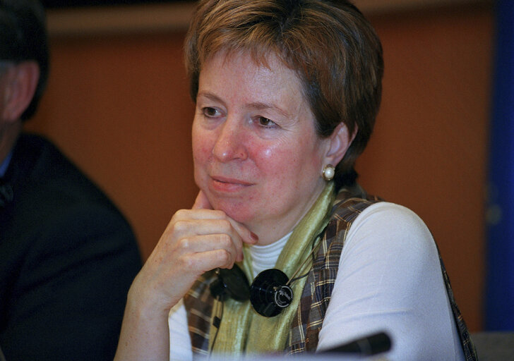 Foto 7: Diana WALLIS in a meeting at the EP in Brussels.