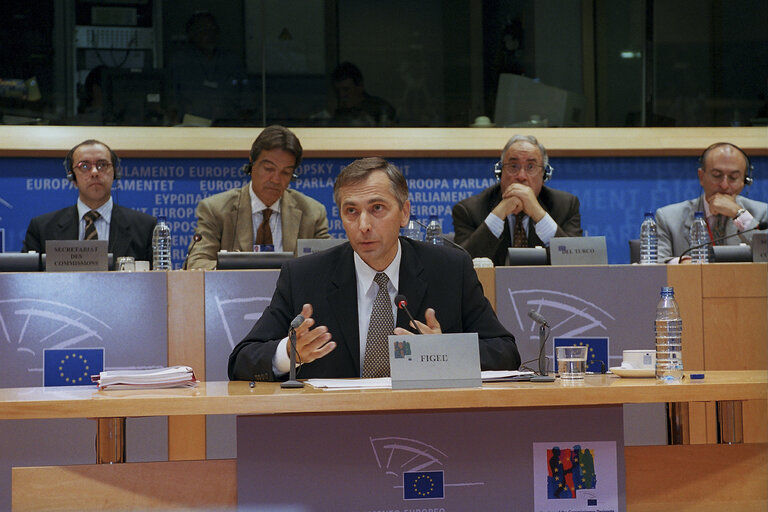 Foto 1: Hearing of the Commissioner Designate for Education, Training and Culture.