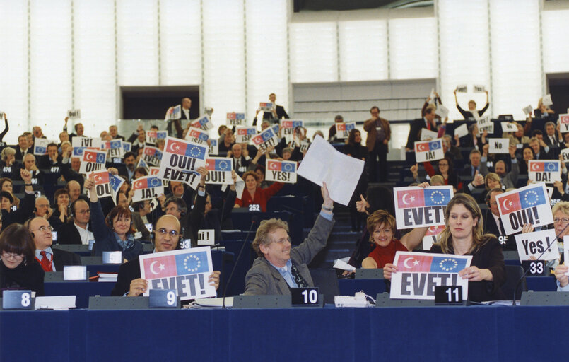 Photo 2: Vote on the Eurling report on the progress made by Turkey concerning its accession to the EU.