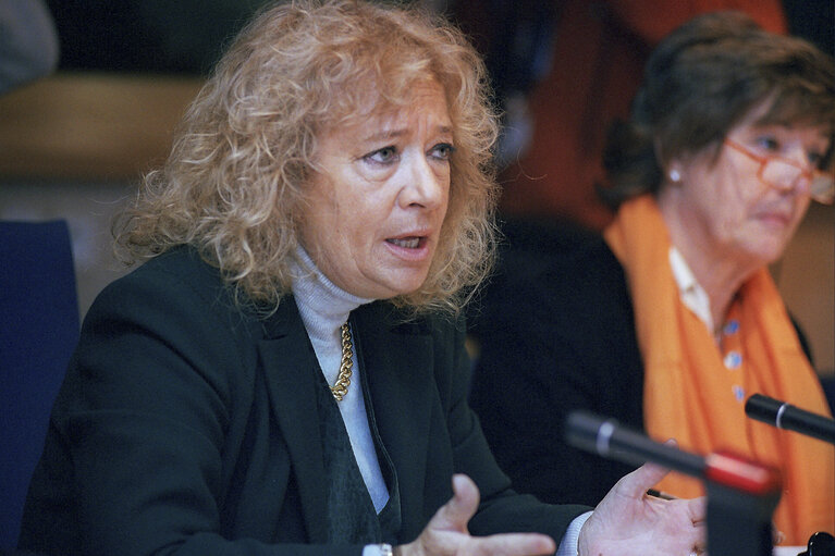 Fotografija 3: MEP during a meeting