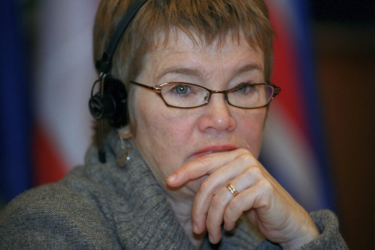 Ewa HEDKVIST PETERSEN in a meeting at the EP in Brussels.